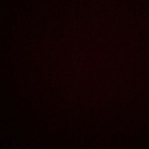 Meet your Posher, Pat